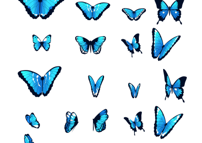 Butterfly Assets - Art
