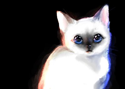 Sacred Birman Illustration - Art